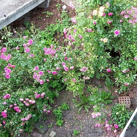 Mija Διαμέρισμα Σαράγεβο Εξωτερικό φωτογραφία